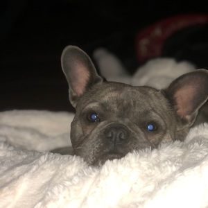 Meet your Posher, Alexis